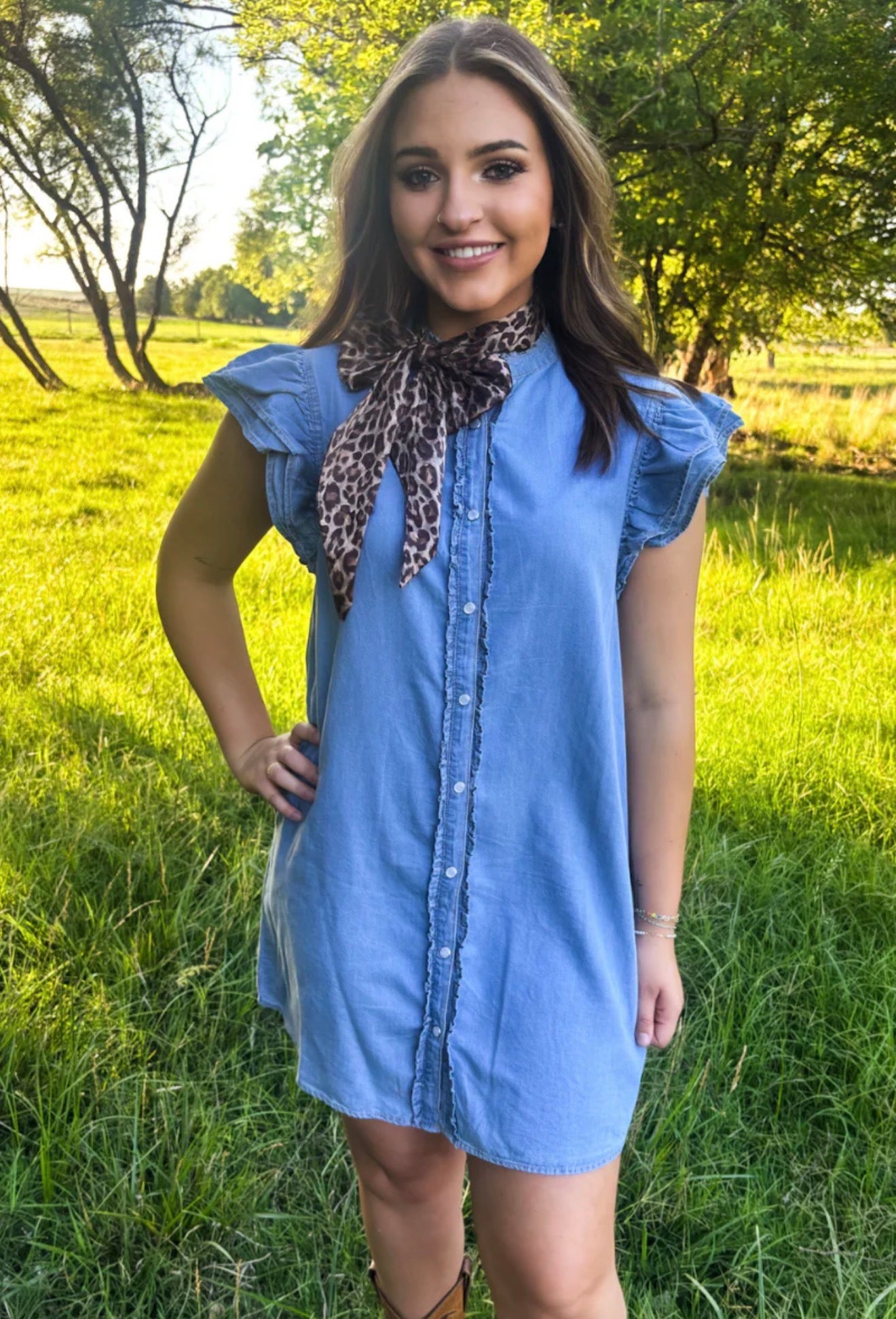 Bluebell Breeze Denim Dress