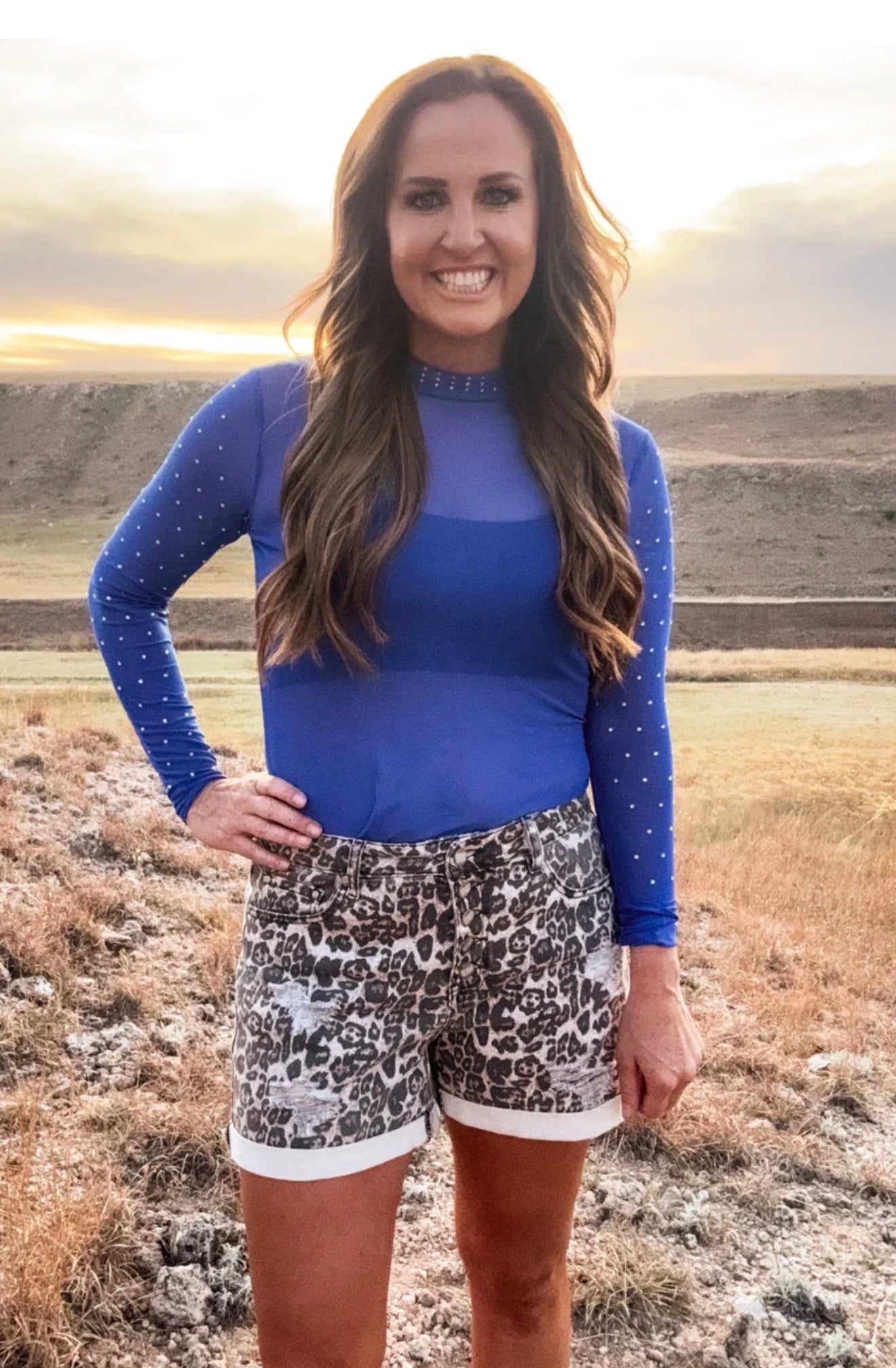 Blue Velvet Sparkle Mesh Top