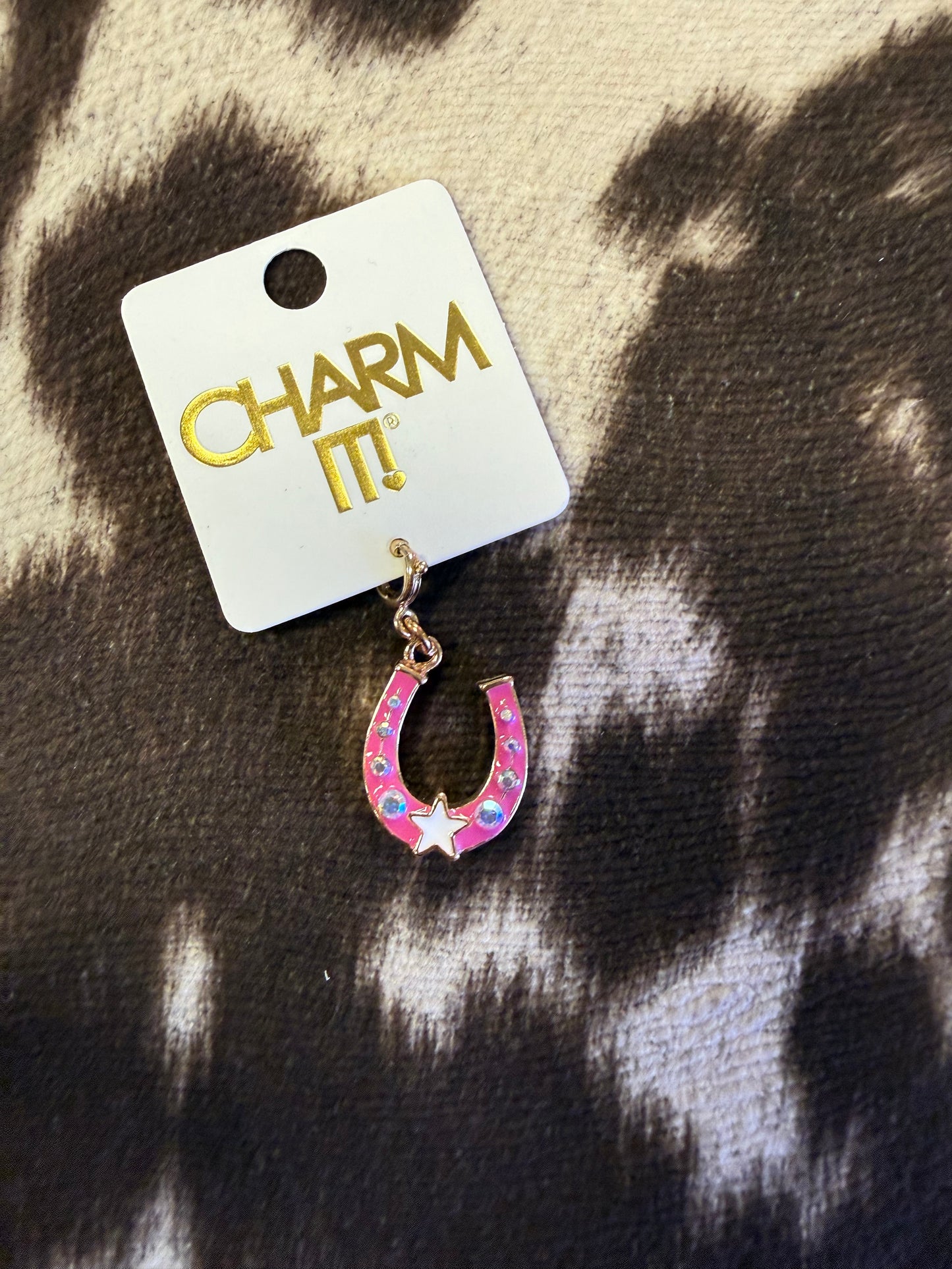 Horse Shoe Charm