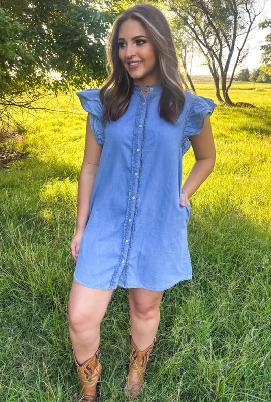 Bluebell Breeze Denim Dress