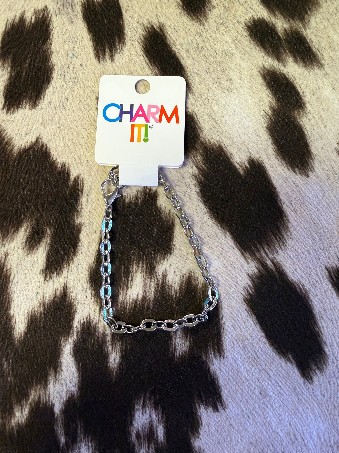 Silver Charm Bracelet