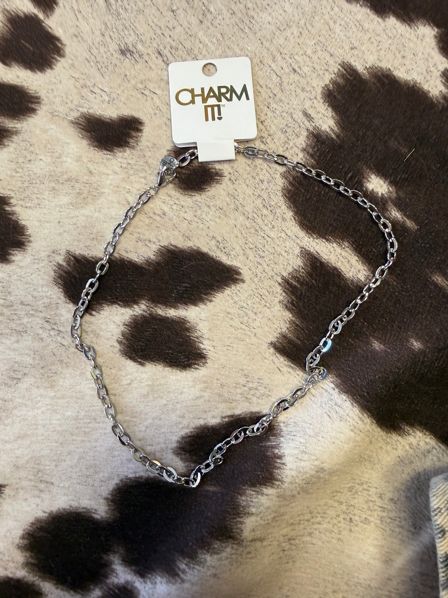 Charm Necklace